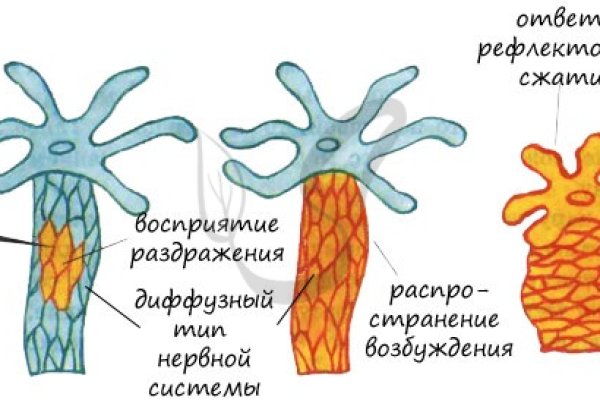 Кракен сайт что