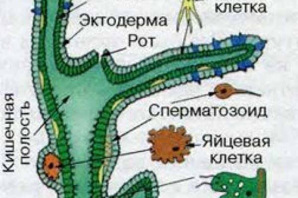 Ссылка на кракен в тор браузере