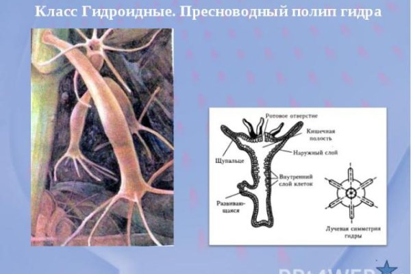 Кракен правила площадки