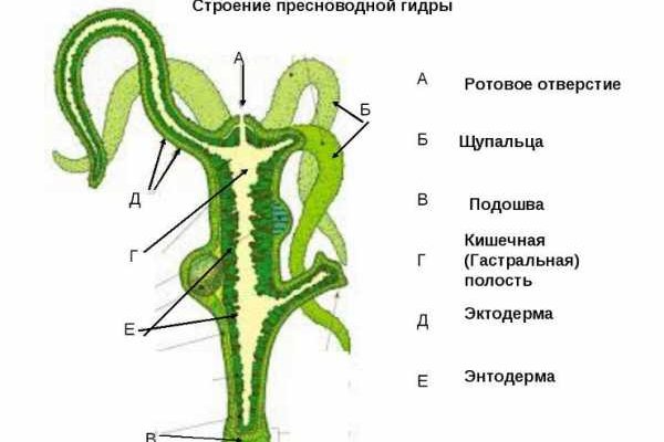 Как зарегистрироваться на кракене маркетплейс