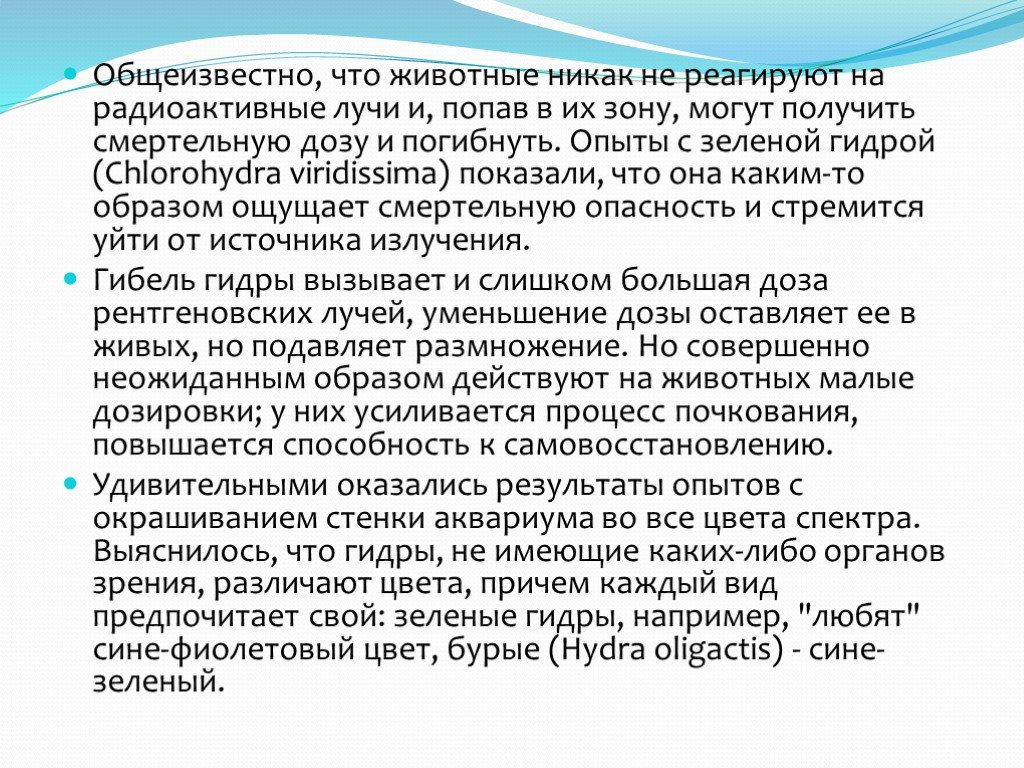 Кракен даркет